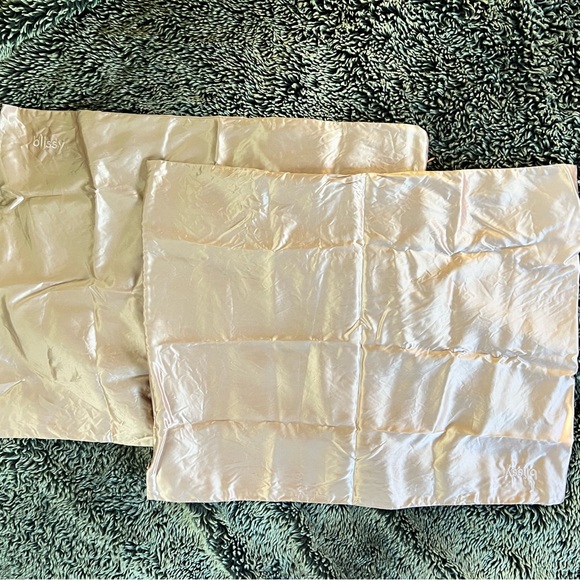 Blissy Bedding Blissy 0 Mulberry Silk Pillowcases In Coveted Trendy
